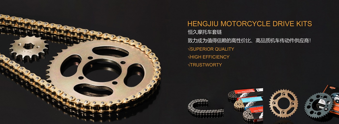 motorcycle drive kits